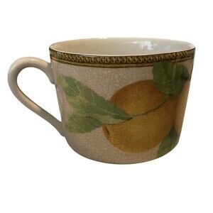 Interiors PTS Newbury Pattern 22146 Jumbo Cup Orange Fruit Stoneware